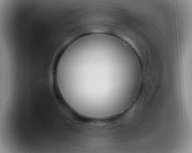 X0000099990299200805231049