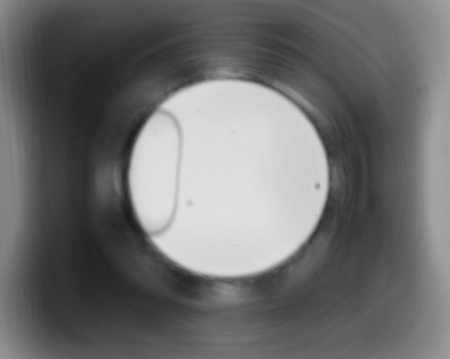 X0000099990302200805231049