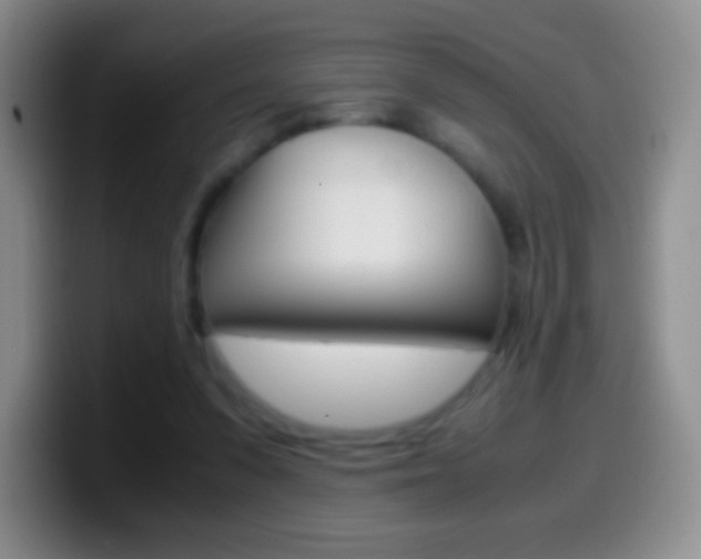 X0000099990303200805231049