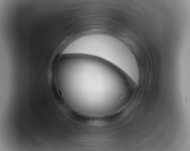 X0000099990304200805231049