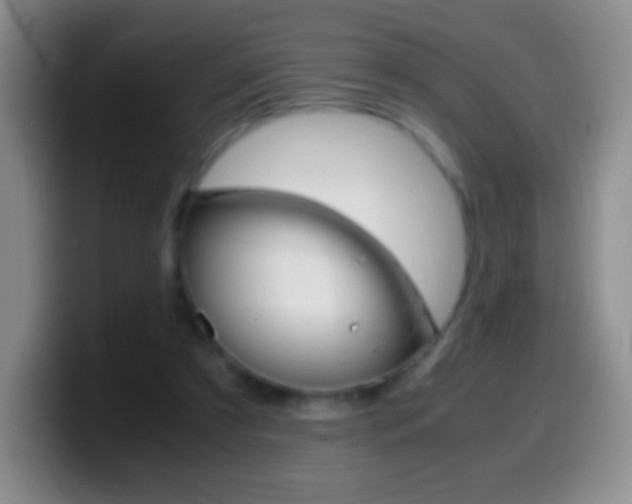 X0000099990305200805231049