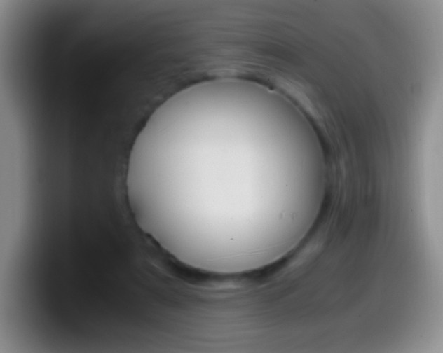 X0000099990307200805231049