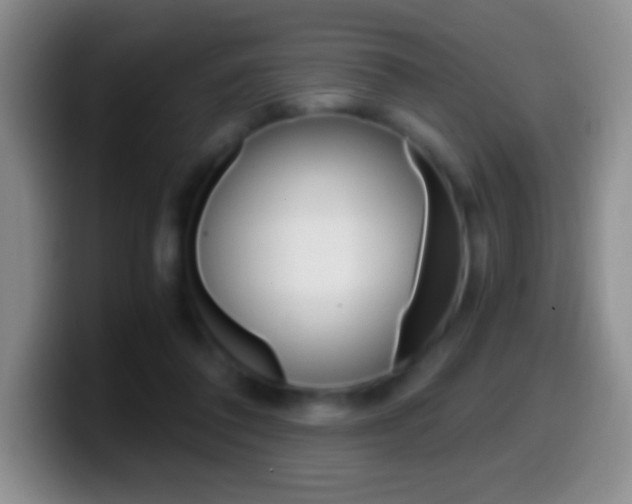 X0000099990308200805231049