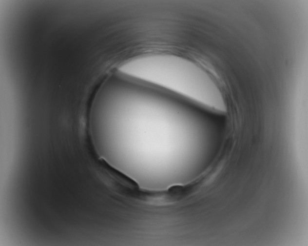 X0000099990309200805231049