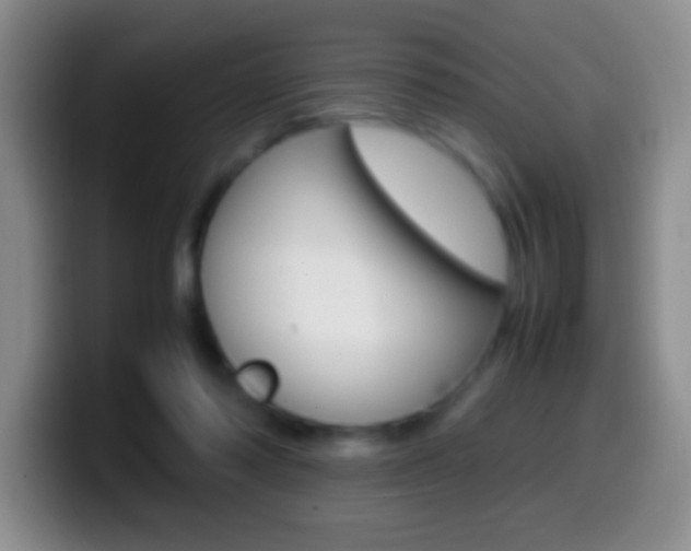 X0000099990310200805231049