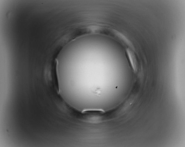 X0000099990313200805231049