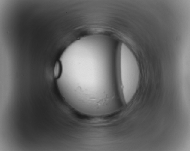 X0000099990315200805231049