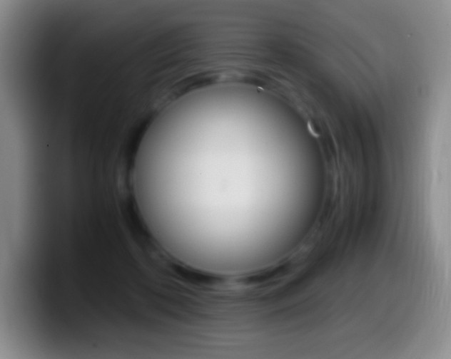 X0000099990316200805231049
