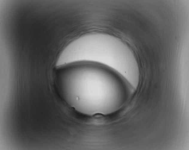 X0000099990317200805231049