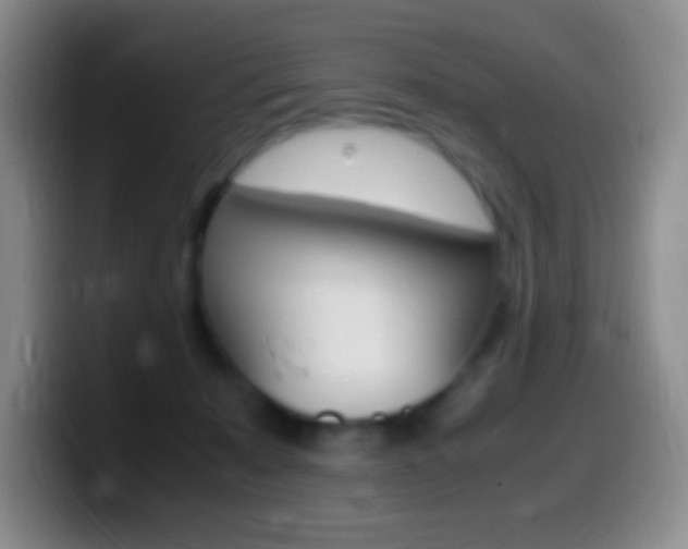 X0000099990319200805231049