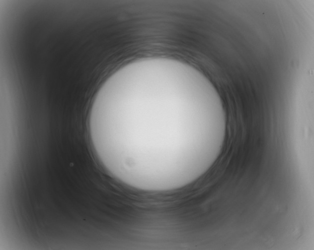 X0000099990320200805231049