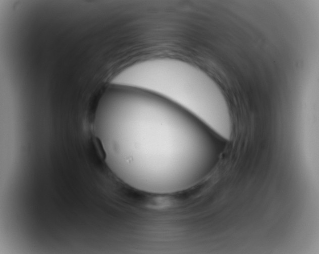 X0000099990324200805231049