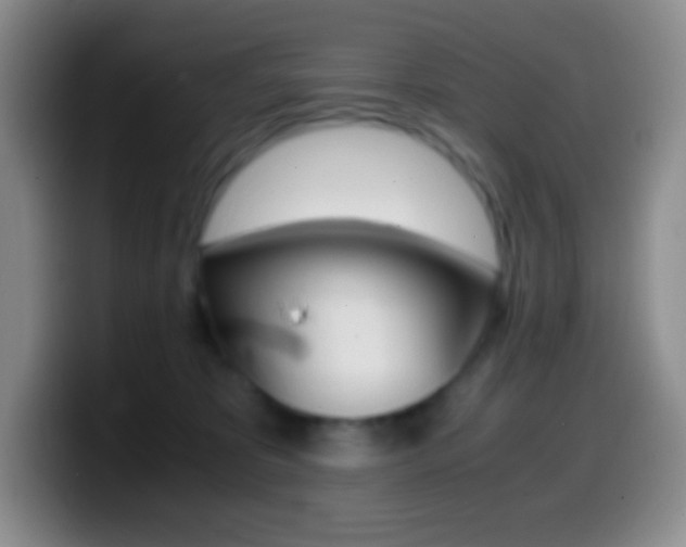 X0000099990325200805231049
