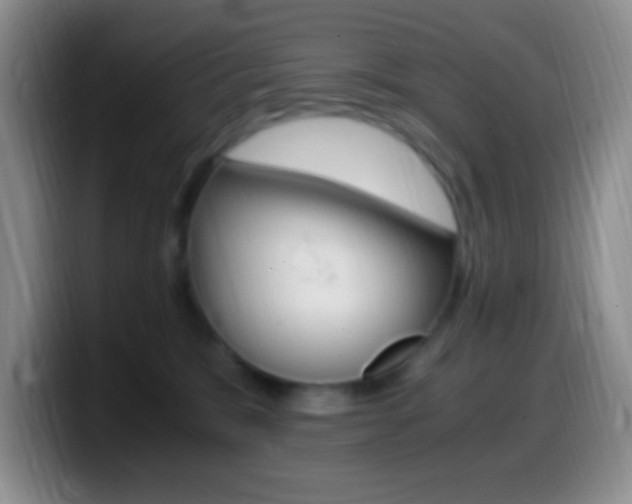 X0000099990327200805231049