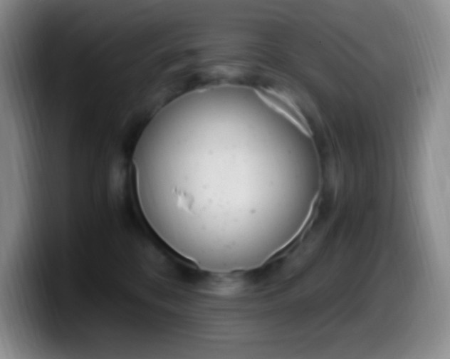 X0000099990328200805231049