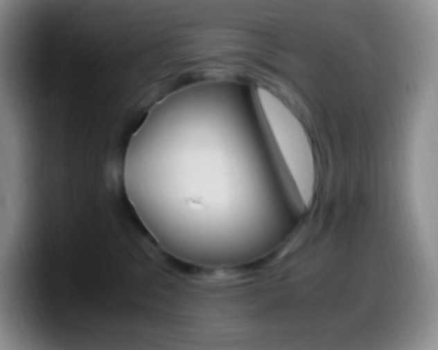 X0000099990329200805231049