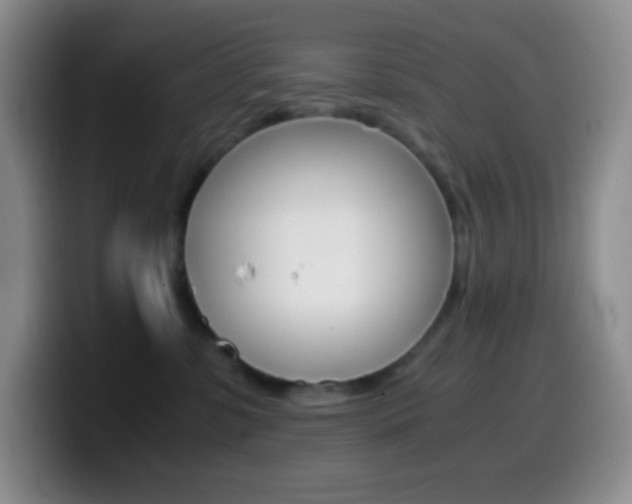 X0000099990331200805231049
