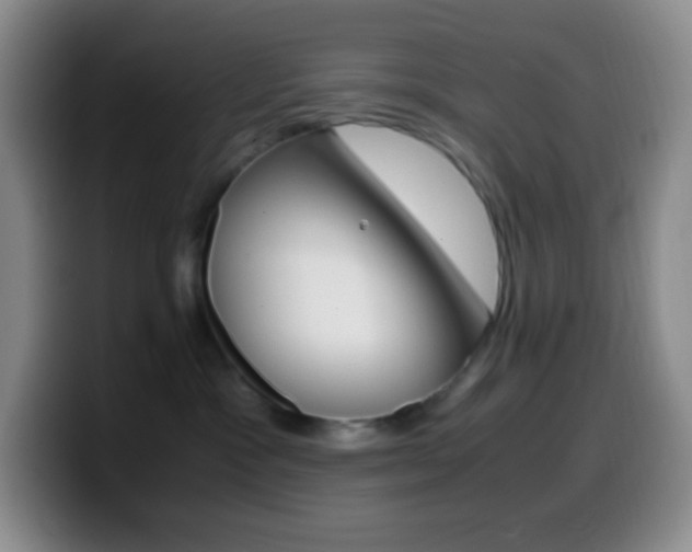 X0000099990333200805231049