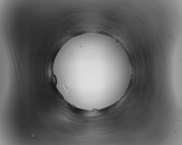 X0000099990334200805231049