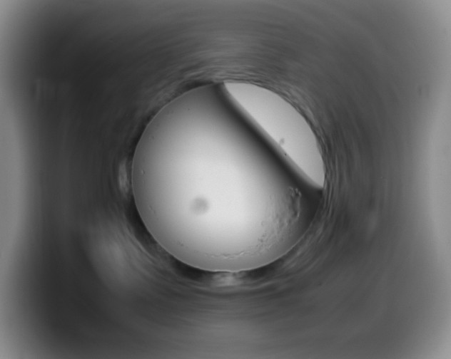 X0000099990335200805231049
