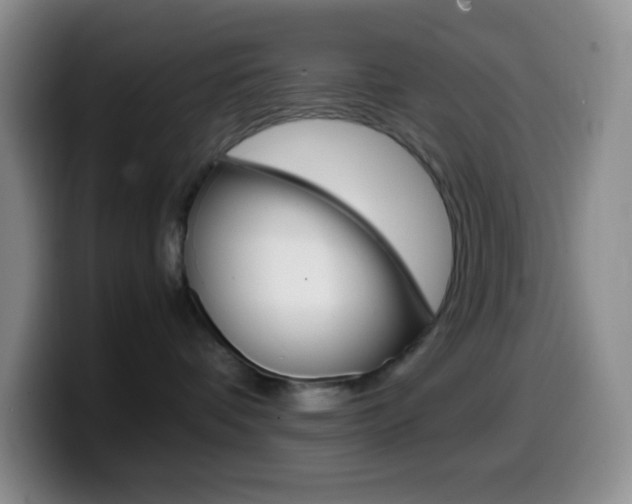 X0000099990336200805231049