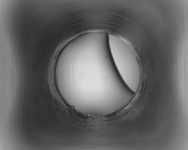 X0000099990337200805231048
