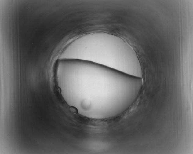 X0000099990339200805231048
