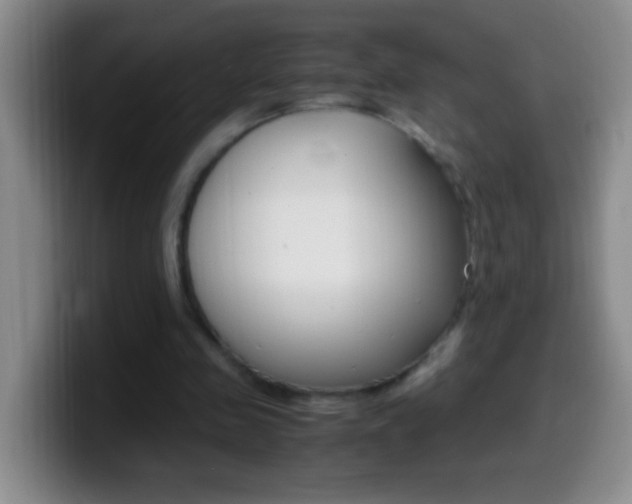 X0000099990341200805231048