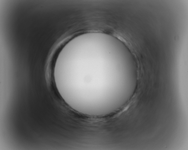 X0000099990343200805231048