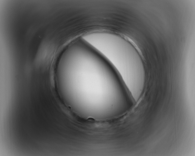 X0000099990345200805231048