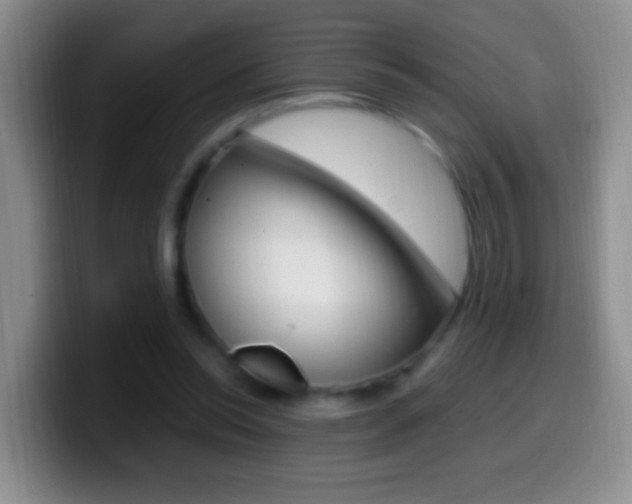 X0000099990350200805231048