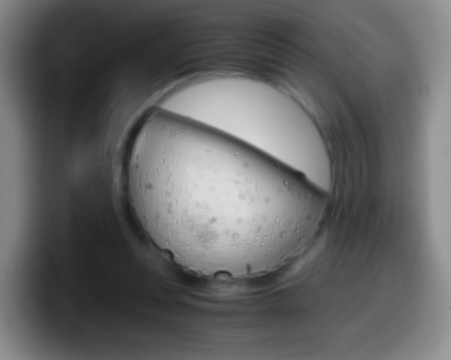 X0000099990351200805231049