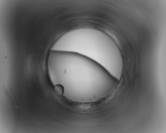 X0000099990353200805231049