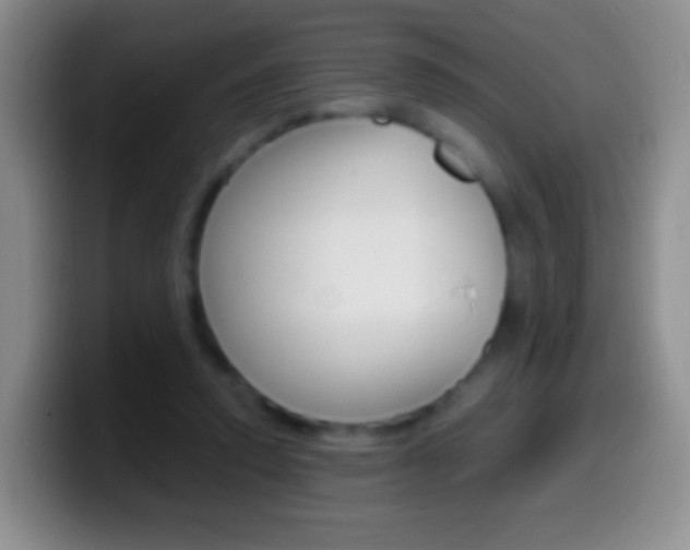 X0000099990354200805231049