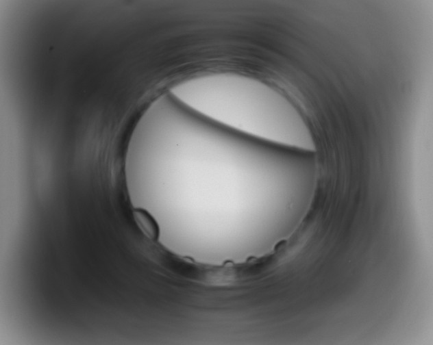 X0000099990355200805231049