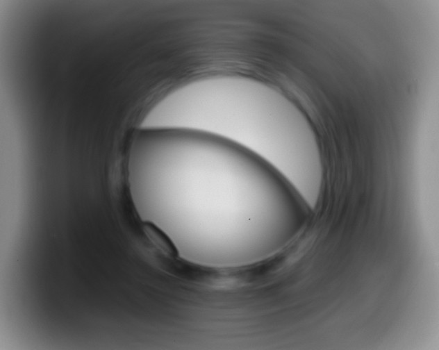 X0000099990356200805231049