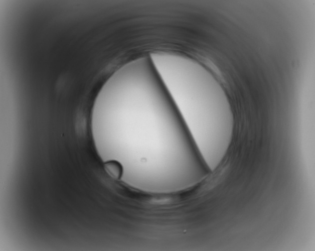 X0000099990357200805231049