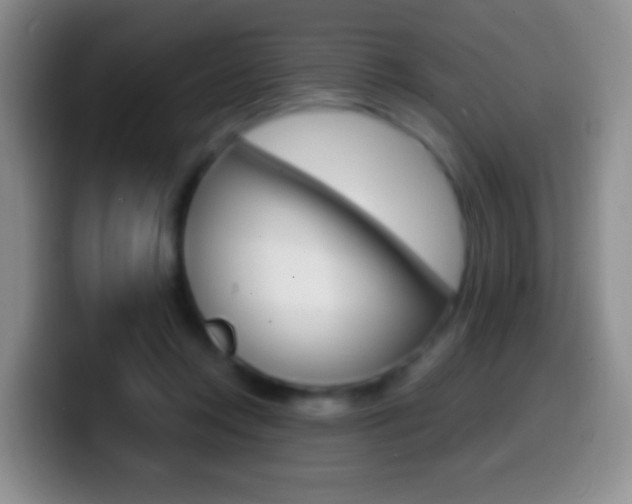 X0000099990358200805231049