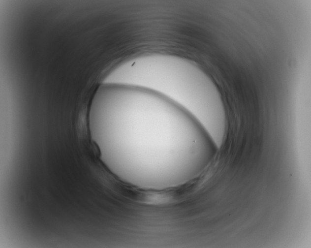 X0000099990360200805231049