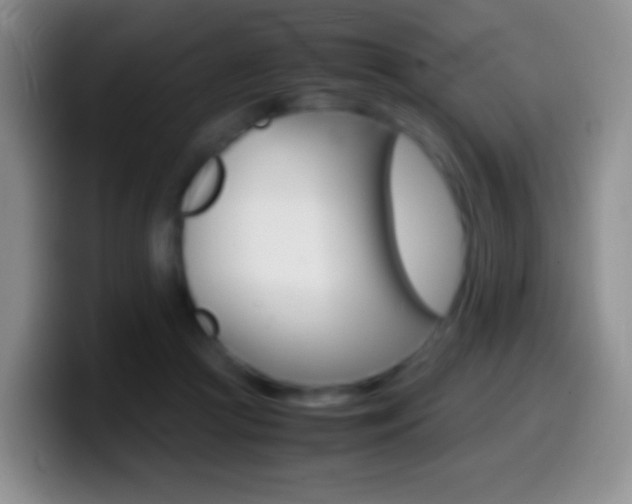 X0000099990361200805231049