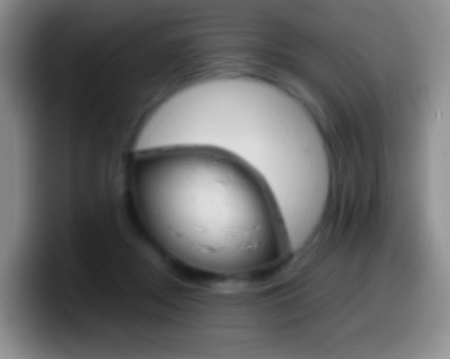 X0000099990362200805231049