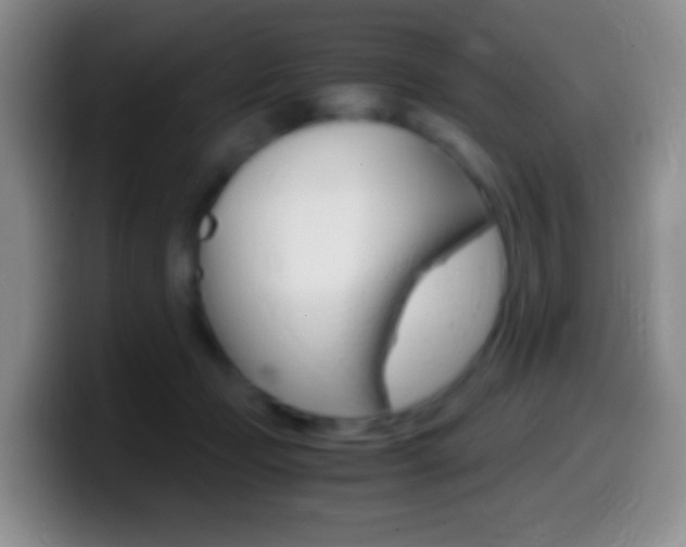 X0000099990365200805231049