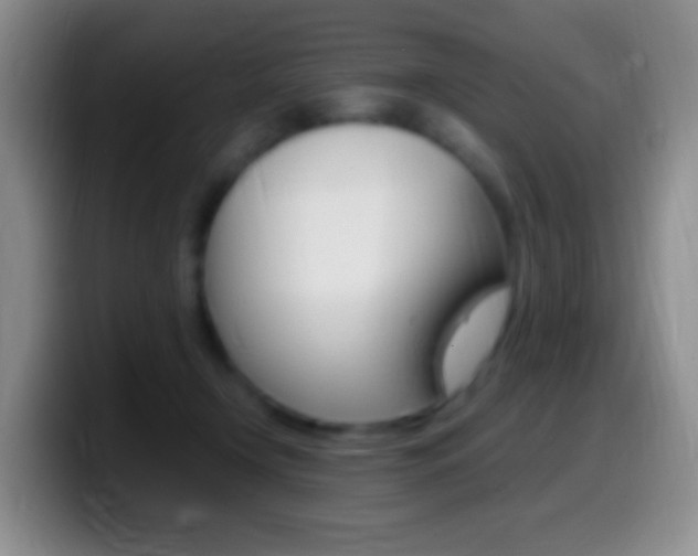 X0000099990366200805231049