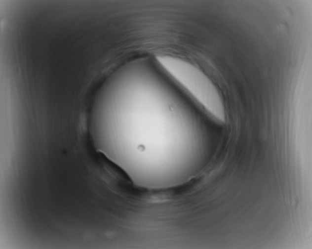 X0000099990368200805231049