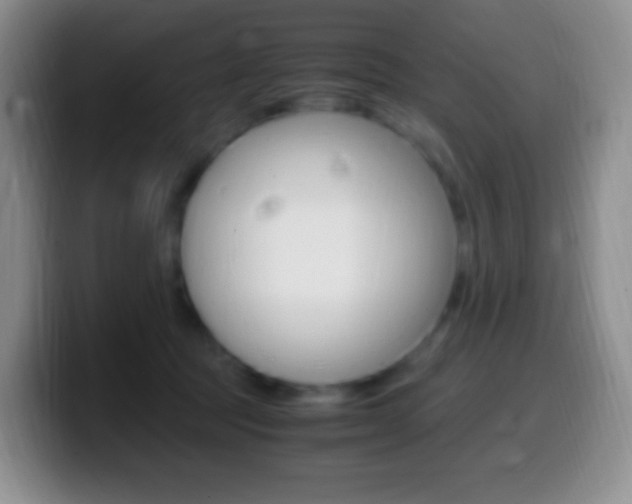 X0000099990369200805231049