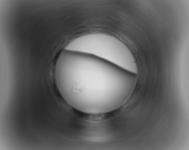 X0000099990373200805231049