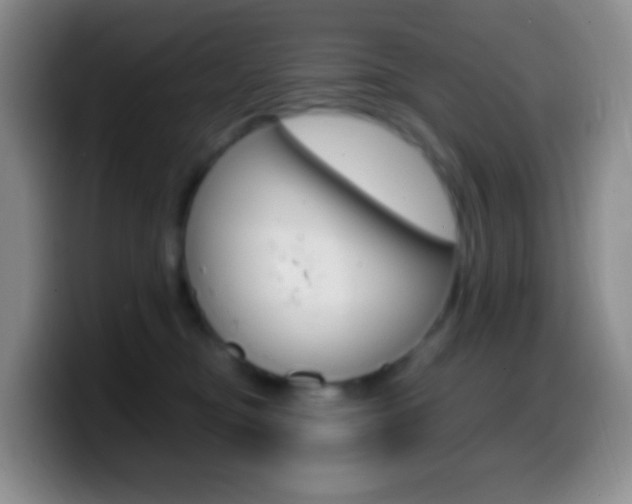 X0000099990374200805231049