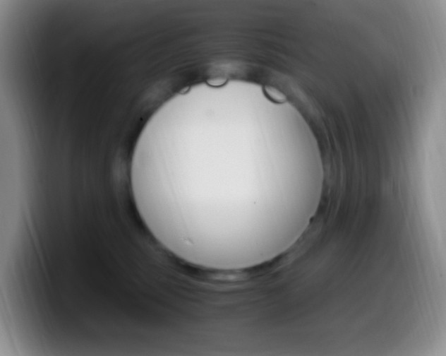 X0000099990375200805231049