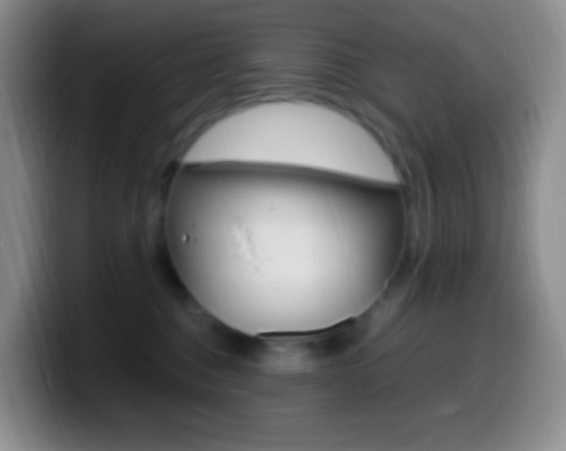 X0000099990376200805231049