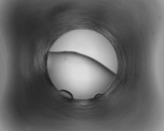 X0000099990377200805231049